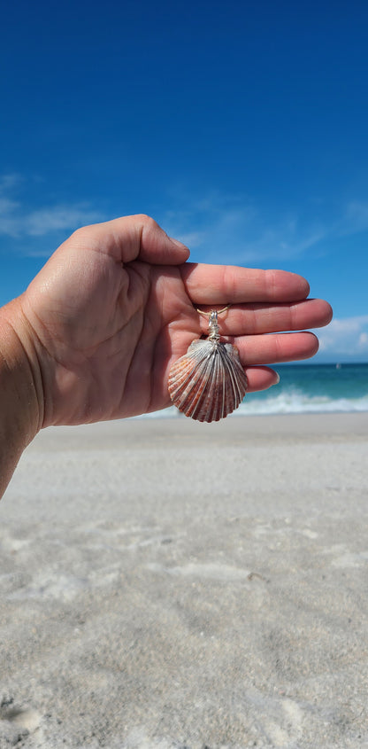 Beautiful Wrapped Bay Scallop Necklace