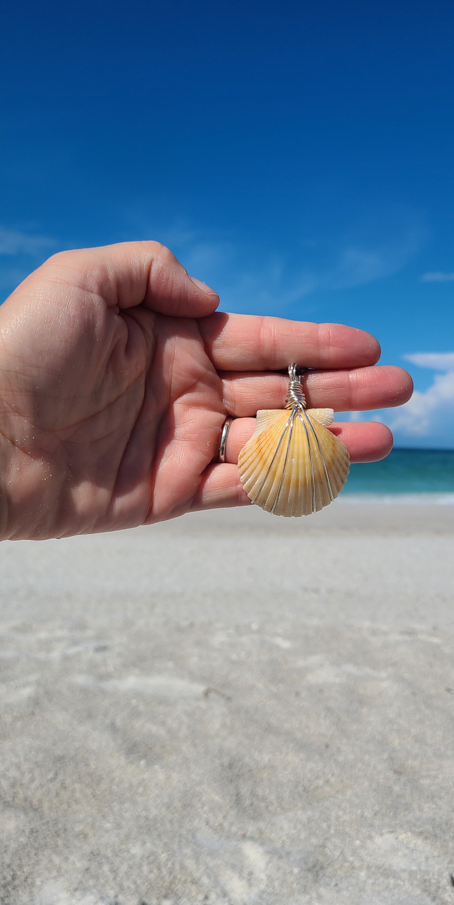 Elegant Cream Scallop Shell Necklace