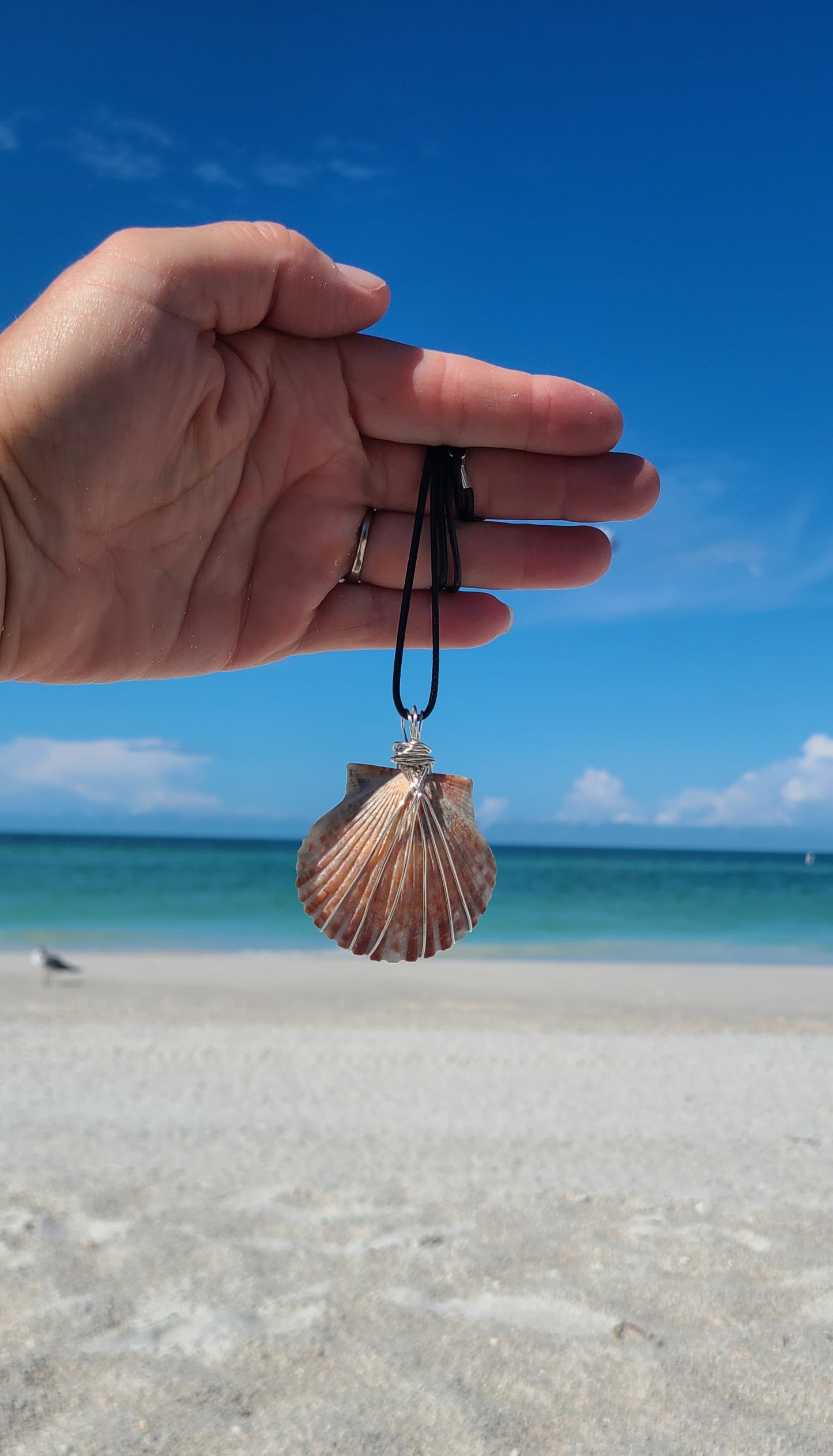 Beautiful Wrapped Bay Scallop Necklace