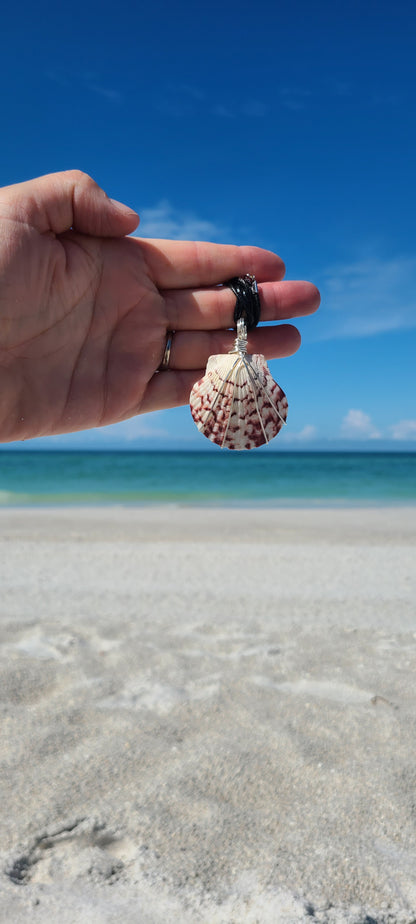 Amazing Calico Scallop Wrapped Necklace