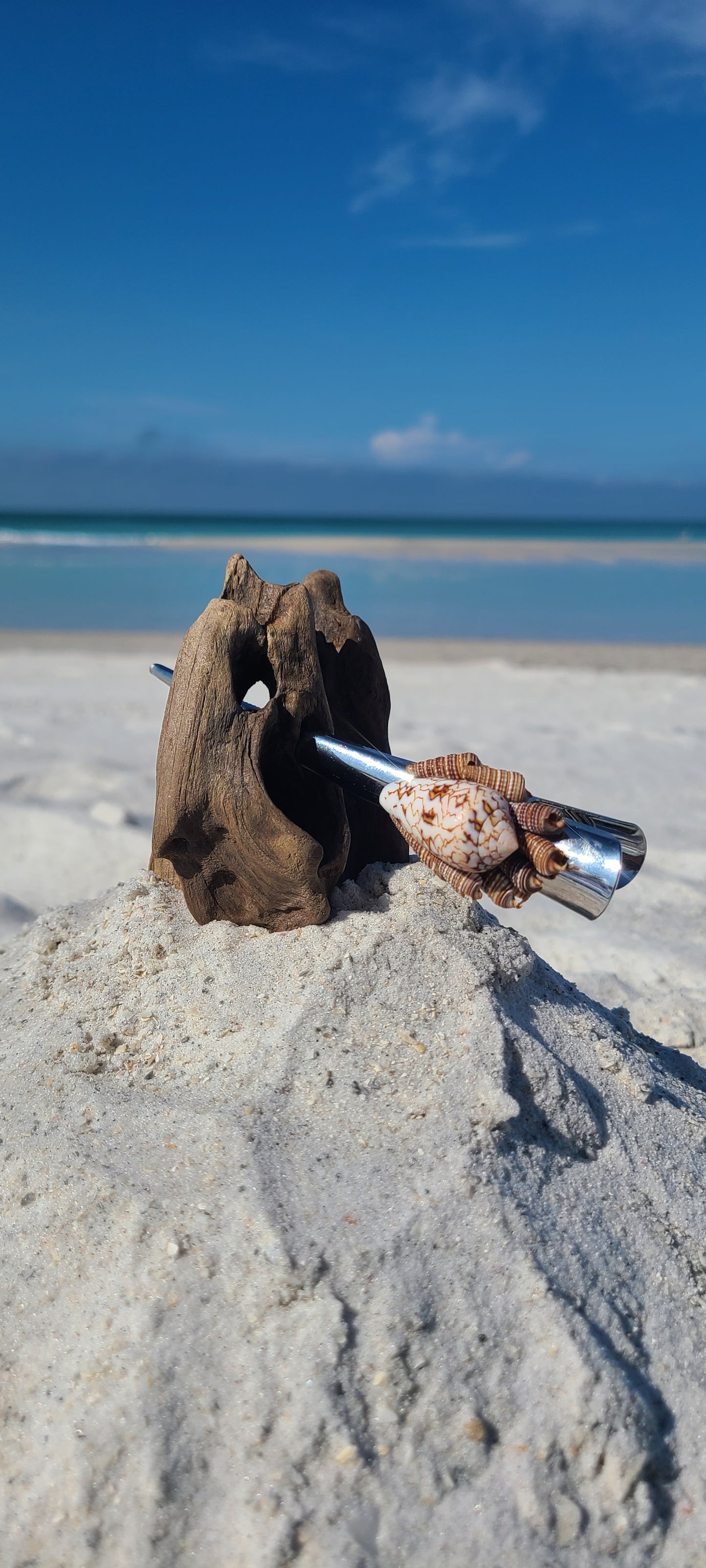 Beautiful Large Cone Shell Hair Clip