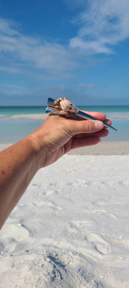 Beautiful Large Cone Shell Hair Clip