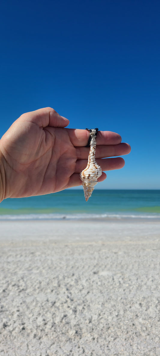 Beautiful Spindel Shell Necklace