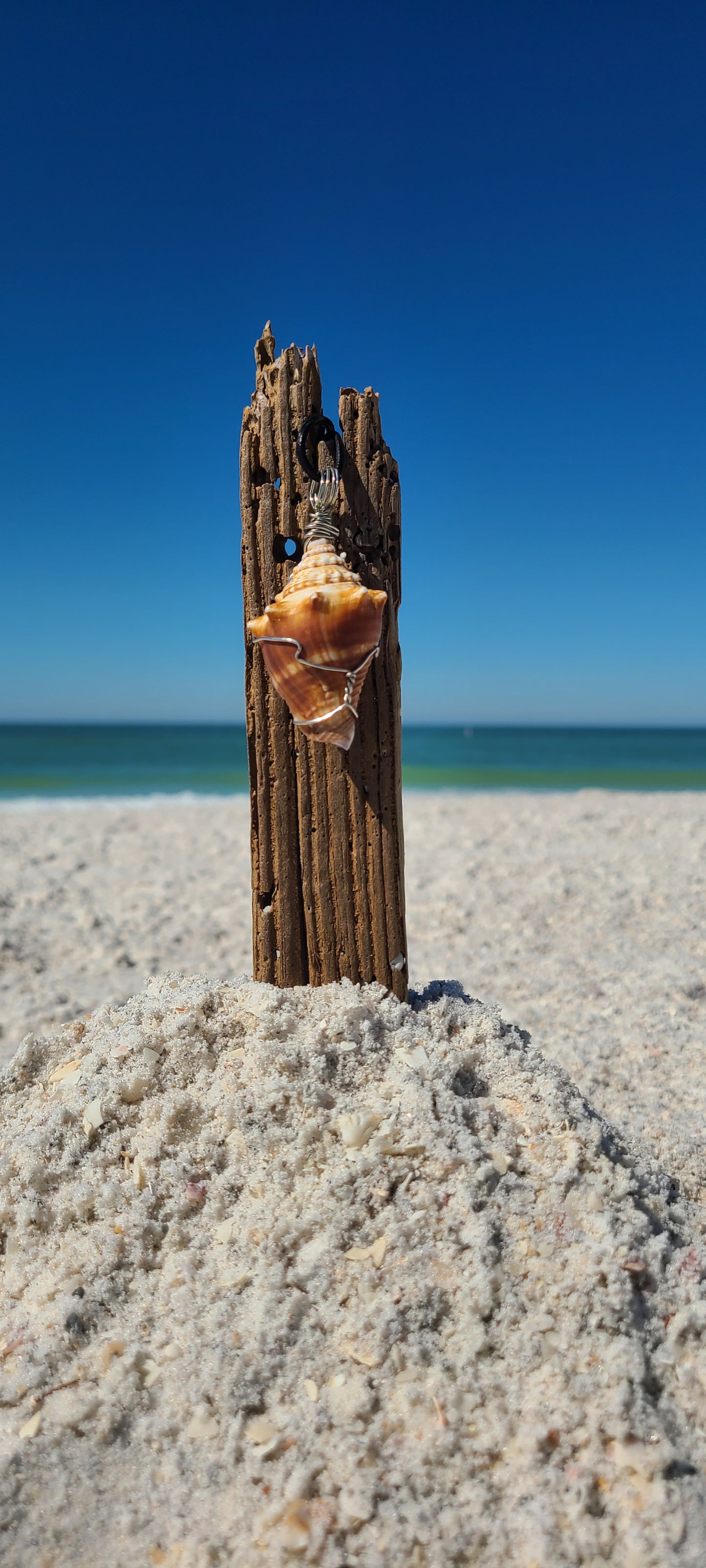 Florida Fighting Conch Shell Necklace