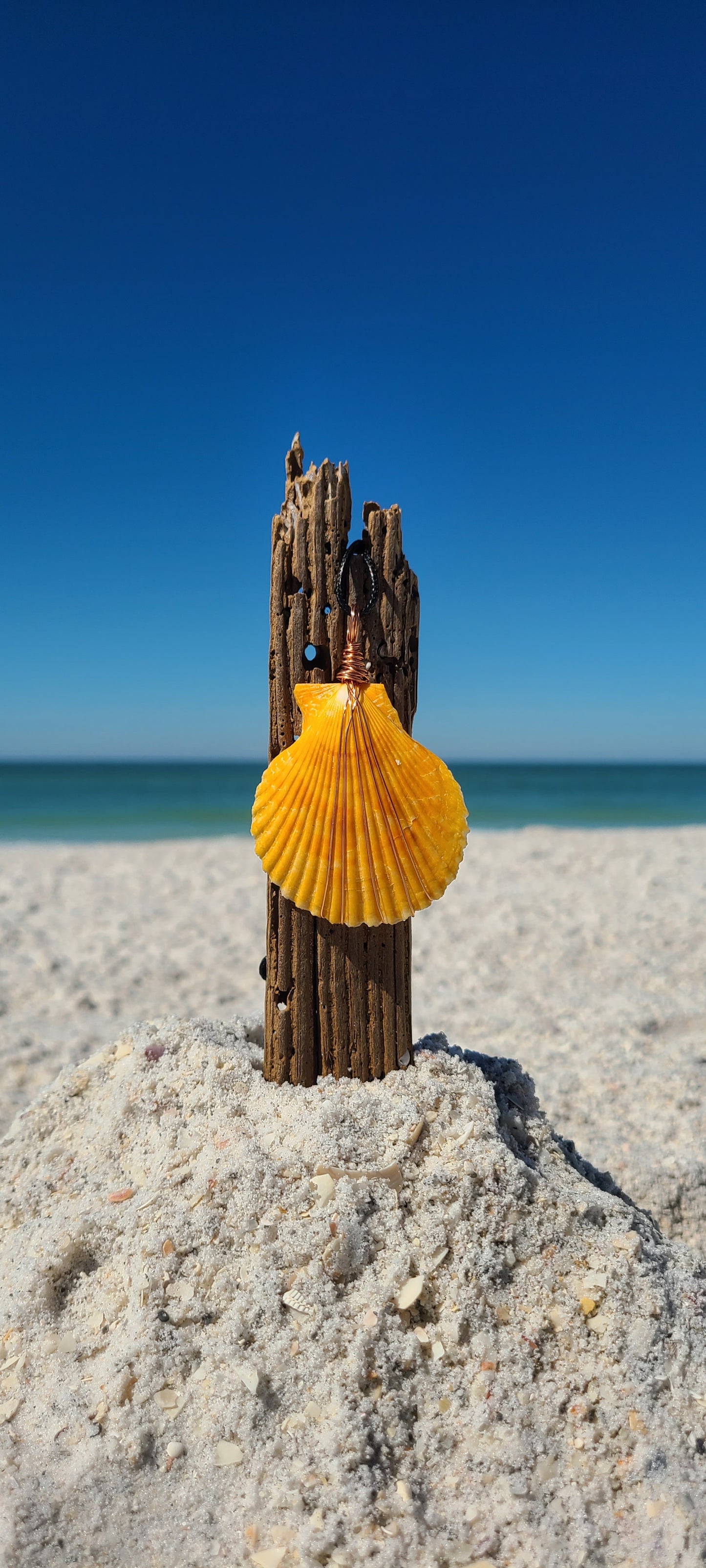 Vibrant Orange Scallop Shell Necklace