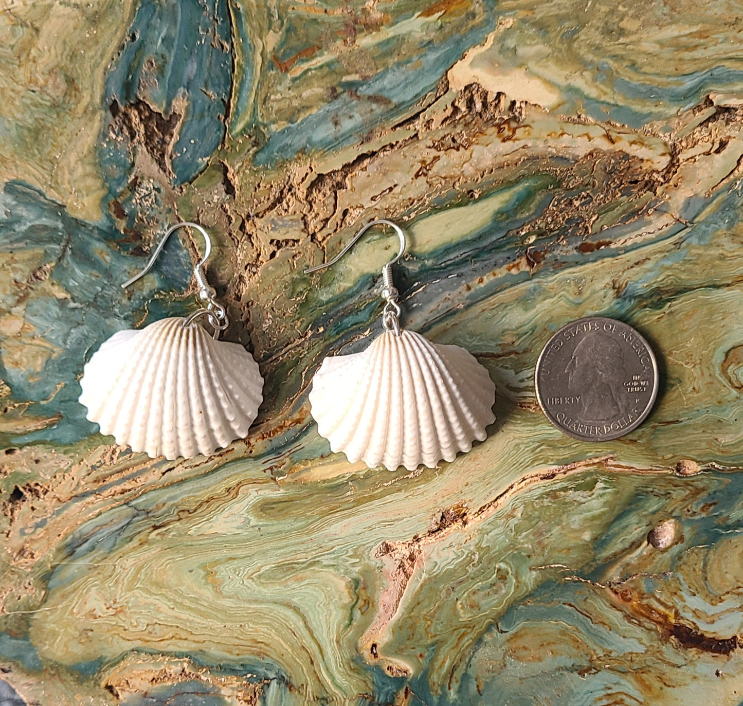 White Earred Arc Shell Earrings