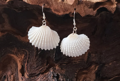 White Earred Arc Shell Earrings