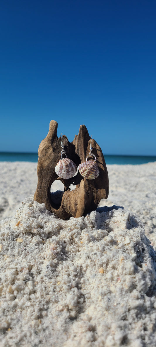 Stripped Clam Shell Sterling Silver Earrings