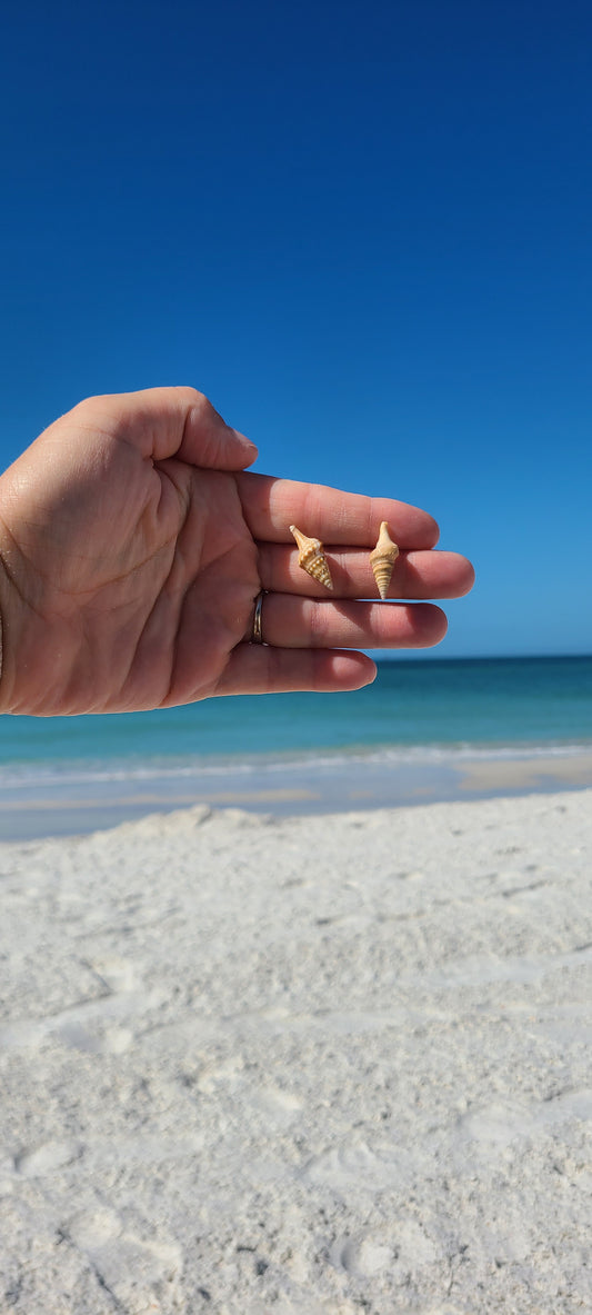 Shell Stud Earrings