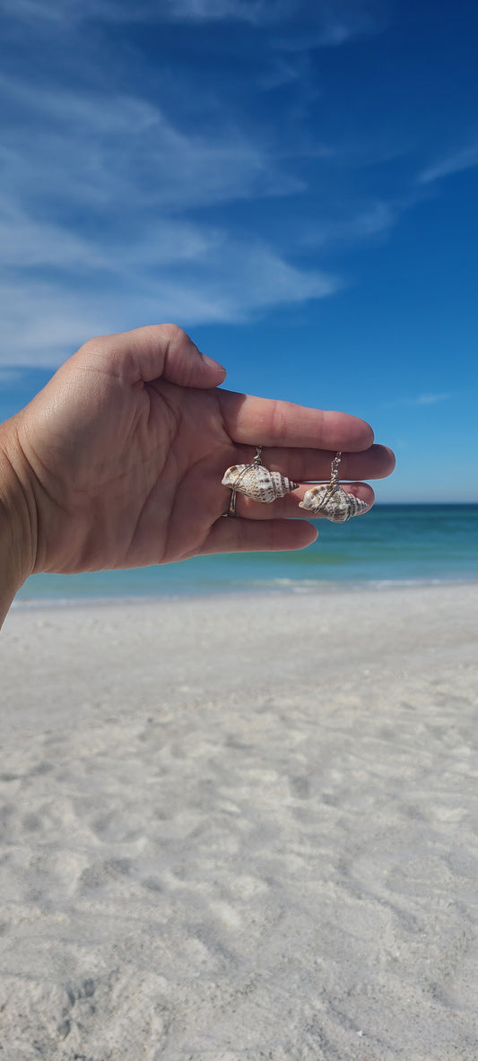 Simple Florida Rock Snail Earrings