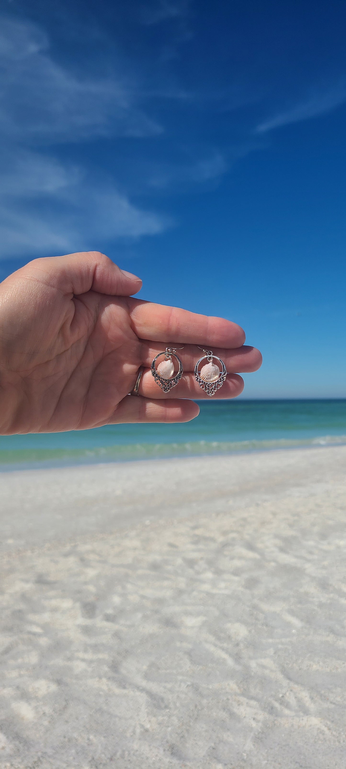 Tiny Cockle Shell and Silver Drop Earrings