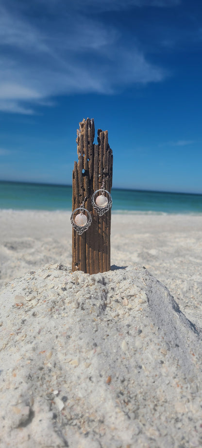 Tiny Cockle Shell and Silver Drop Earrings