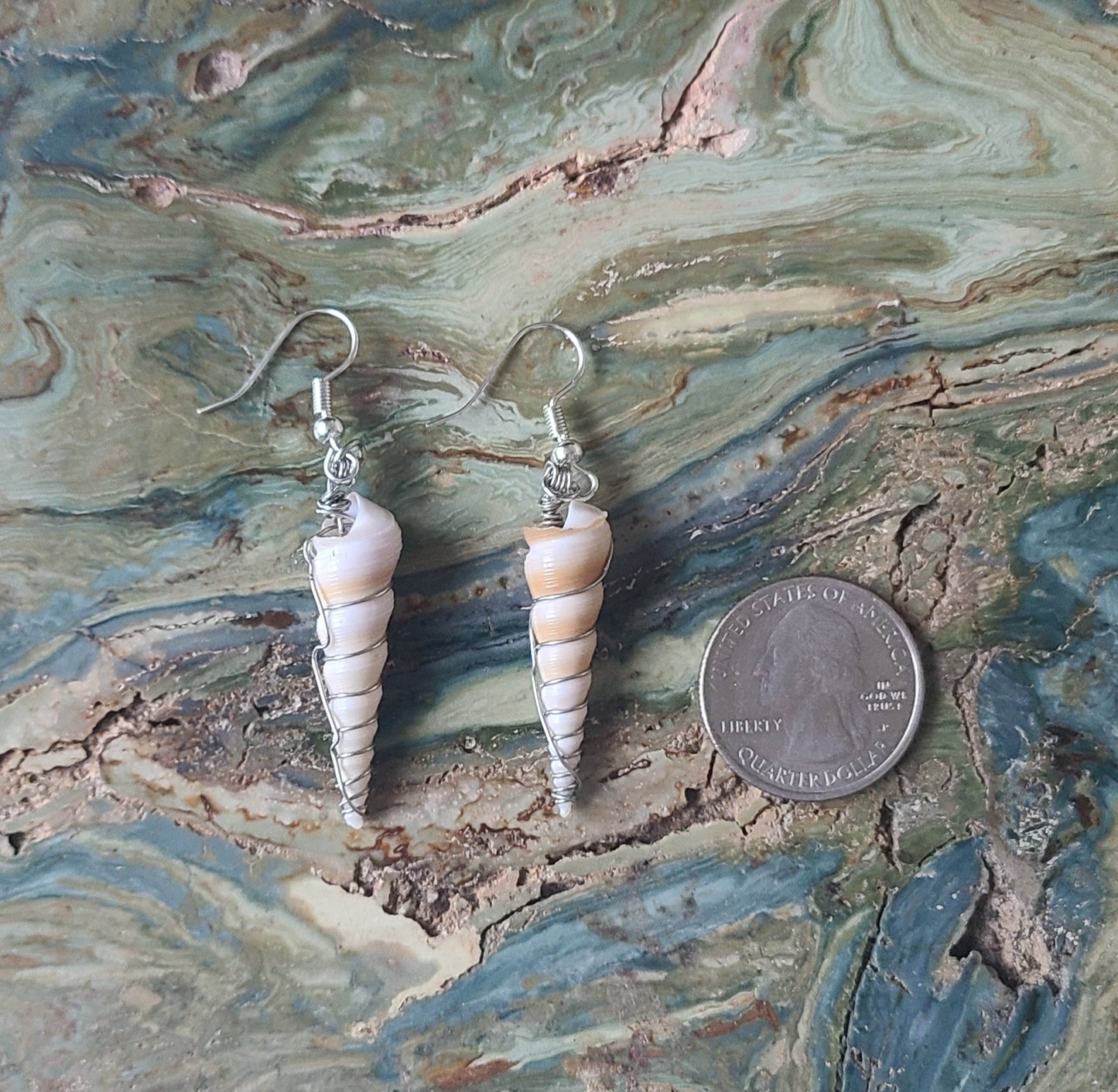 Boring Turret Snail Earrings