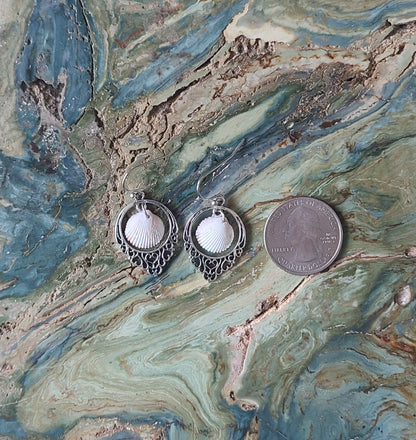 Tiny Cockle Shell and Silver Drop Earrings