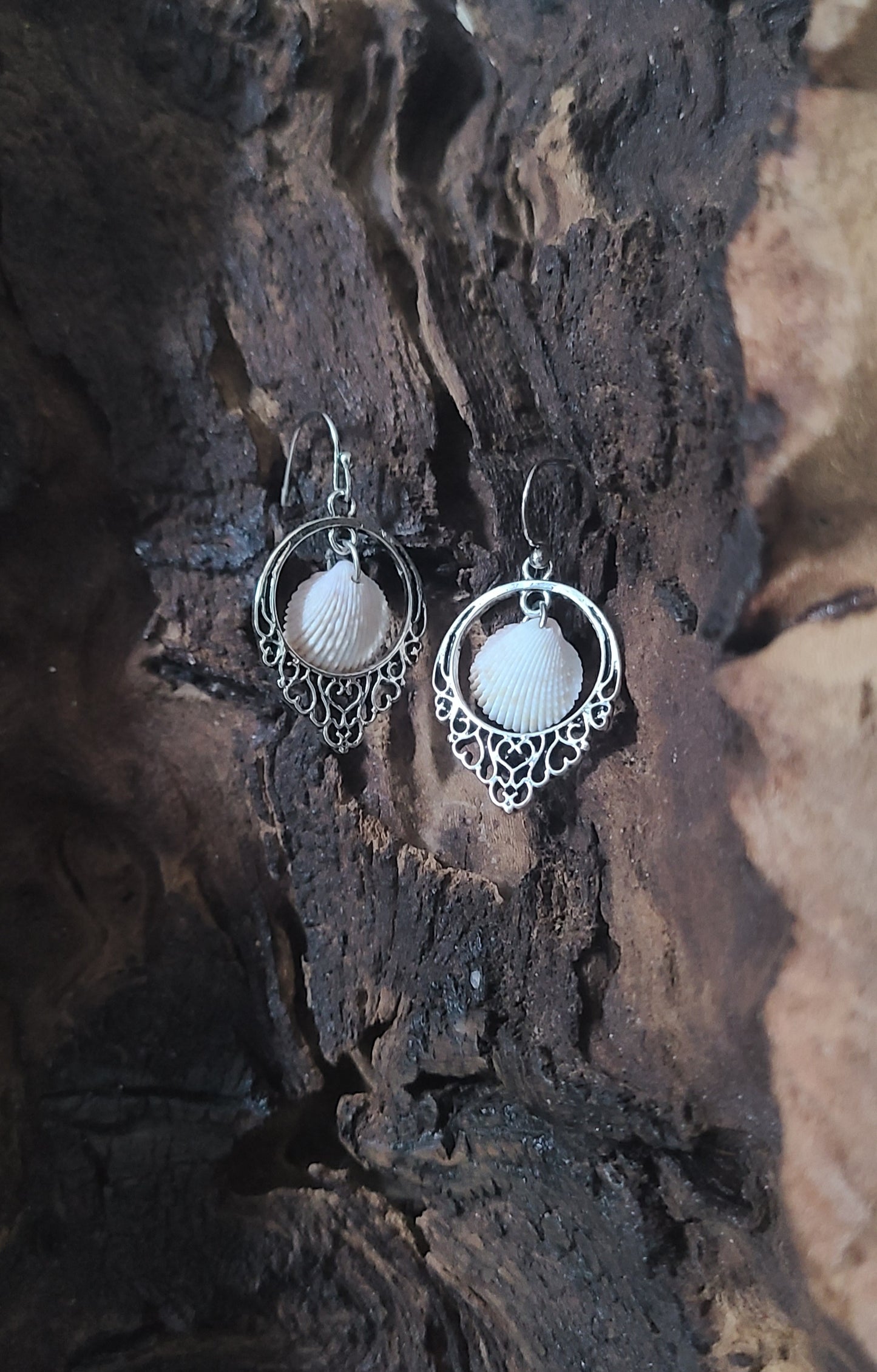 Tiny Cockle Shell and Silver Drop Earrings