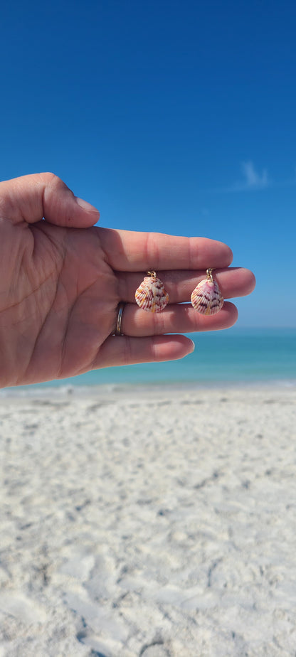 Dainty Gold (14kgf) Baby Scallop Shell Earrings