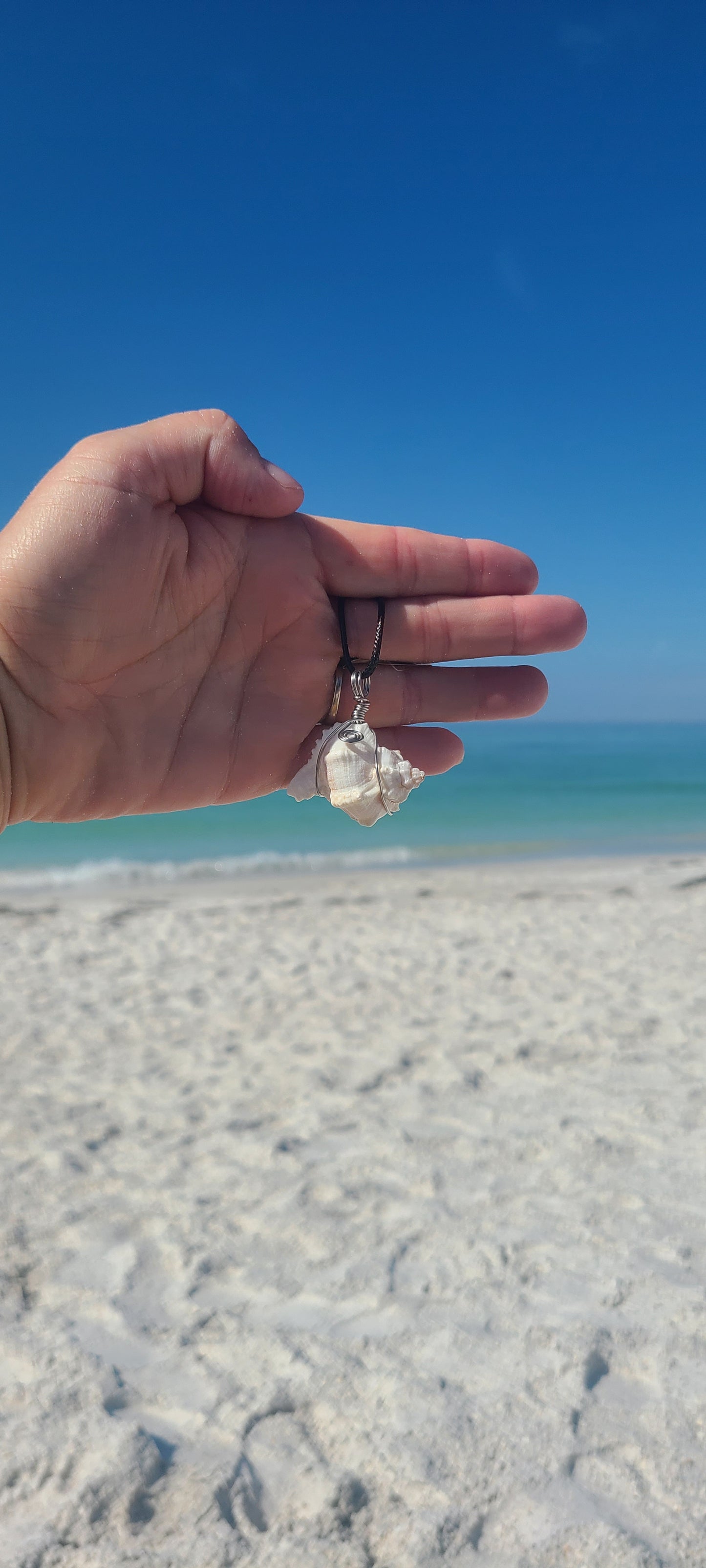 Mermaid Murex Shell Necklace