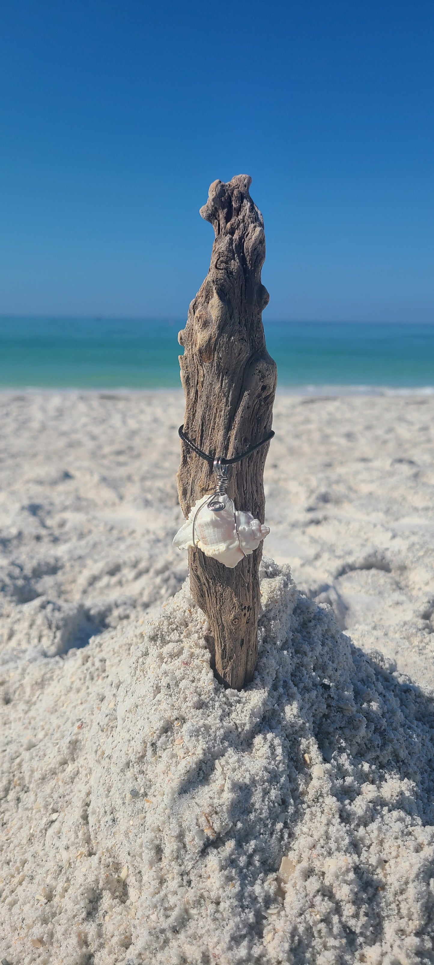 Mermaid Murex Shell Necklace