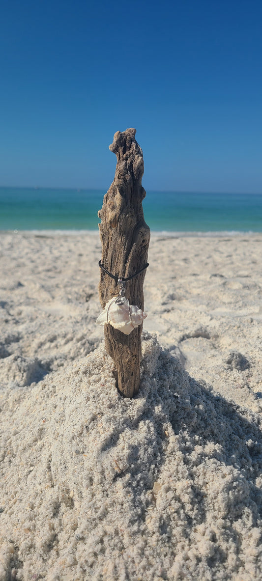 Mermaid Murex Shell Necklace