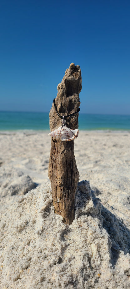 Simple Florida Rock Snail Shell Necklace