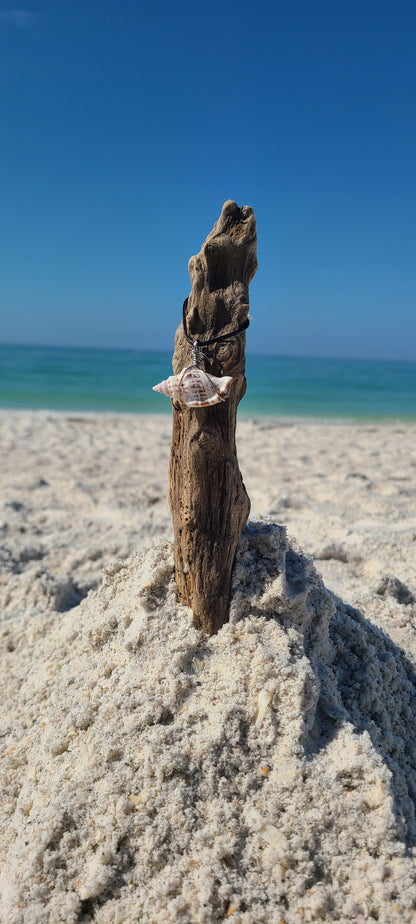 Simple Florida Rock Snail Shell Necklace