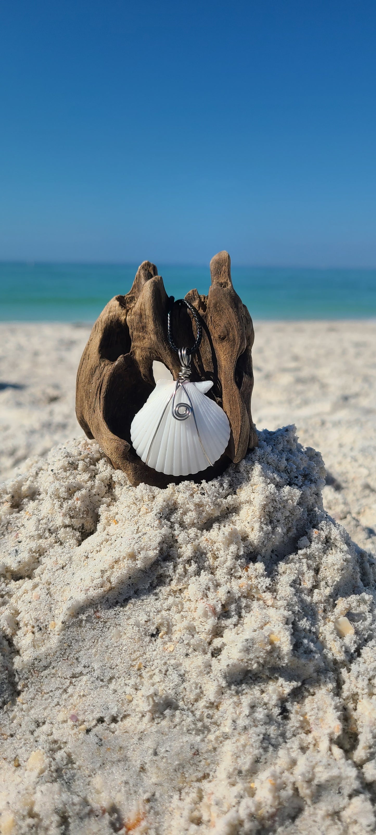 Stunning Scallop Shell Necklace