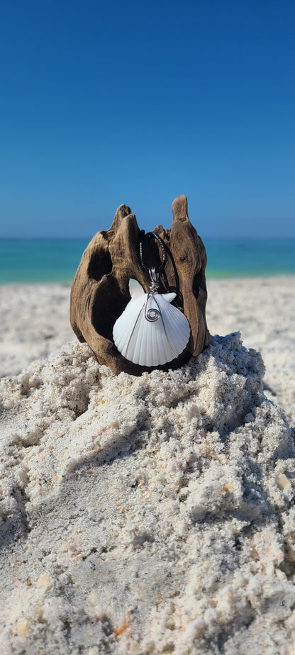 Stunning Scallop Shell Necklace