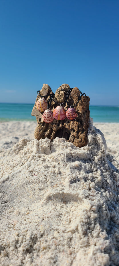 Baby Scallop Shell Necklaces