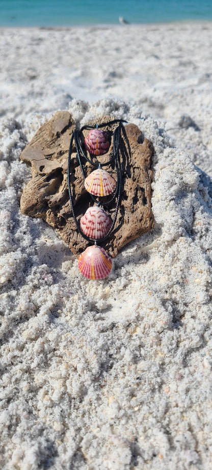 Baby Scallop Shell Necklaces