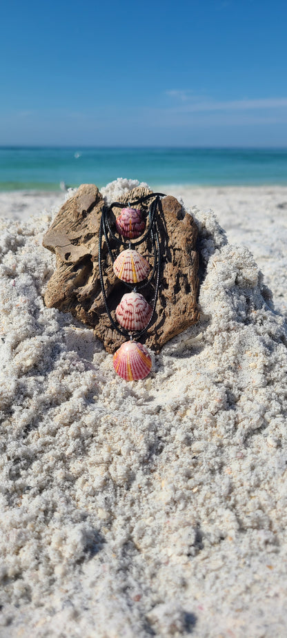 Baby Scallop Shell Necklaces