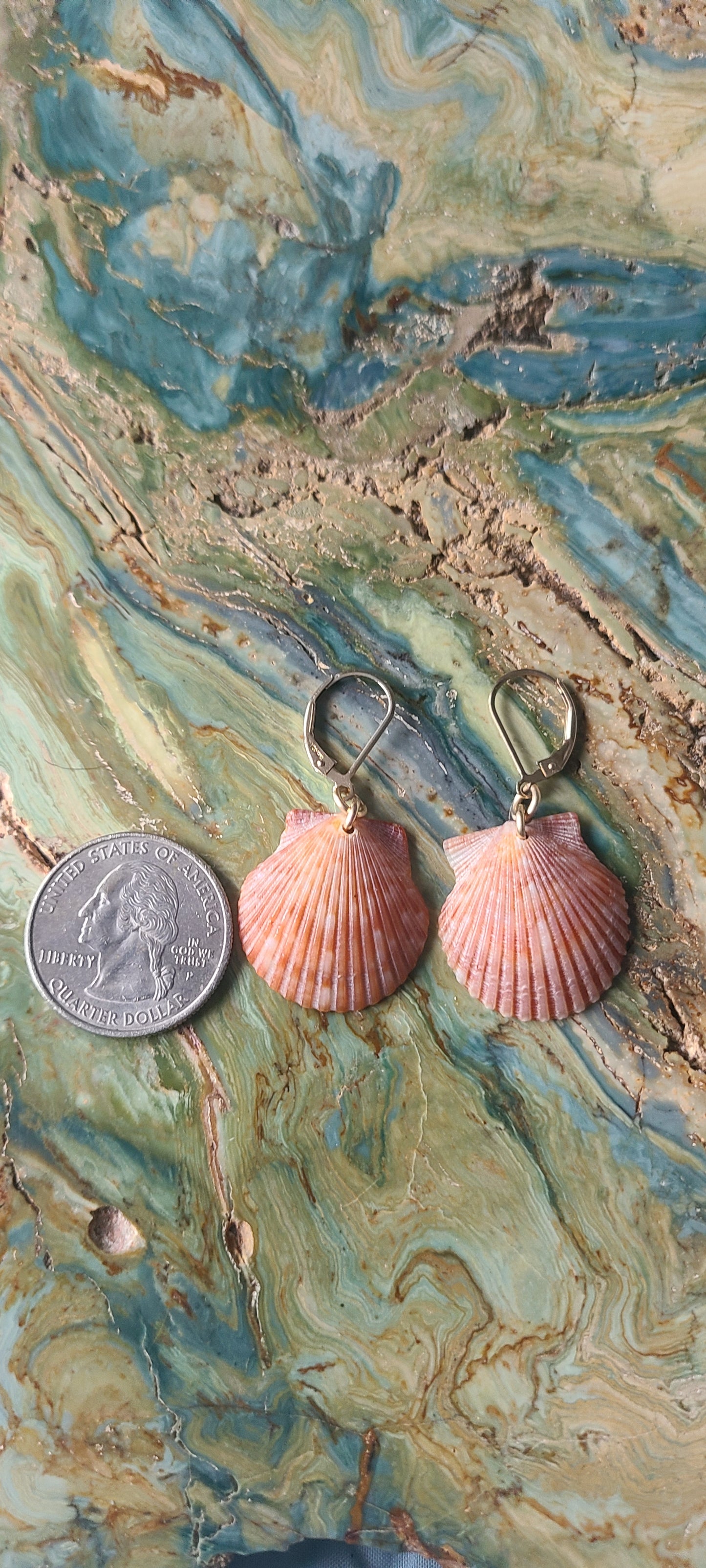 Small Burnt Orange Scallop Shell Gold Earrings(14kgf)