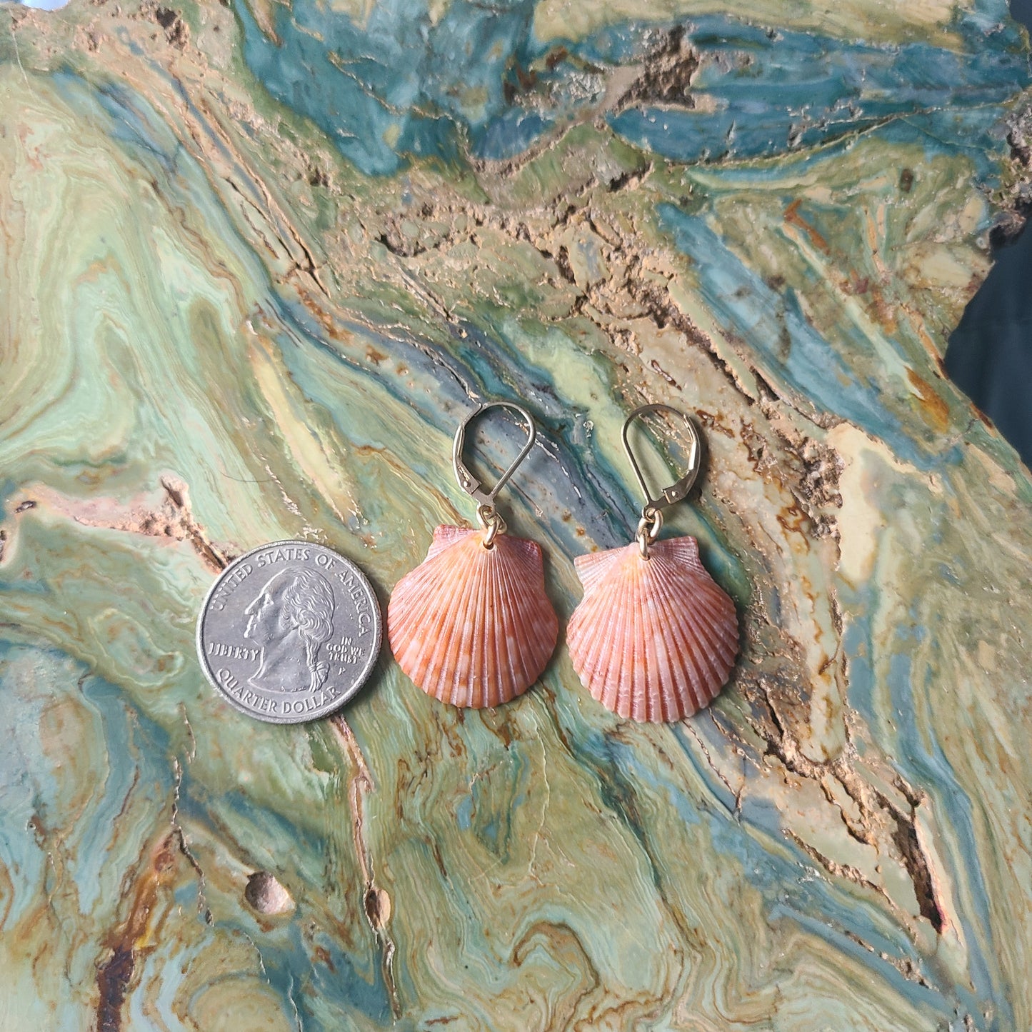 Small Burnt Orange Scallop Shell Gold Earrings(14kgf)