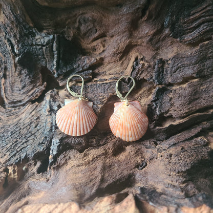 Small Burnt Orange Scallop Shell Gold Earrings(14kgf)