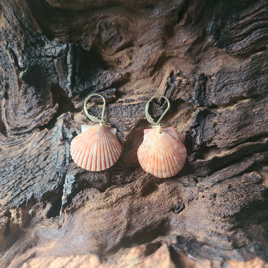 Small Burnt Orange Scallop Shell Gold Earrings(14kgf)