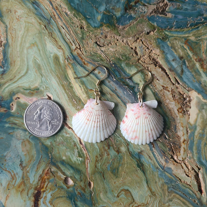 White Scallop Shell Gold Filled Earrings (14 kgf)