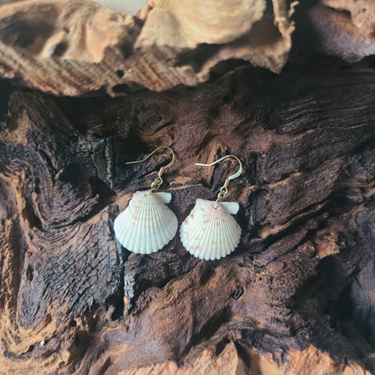 White Scallop Shell Gold Filled Earrings (14 kgf)