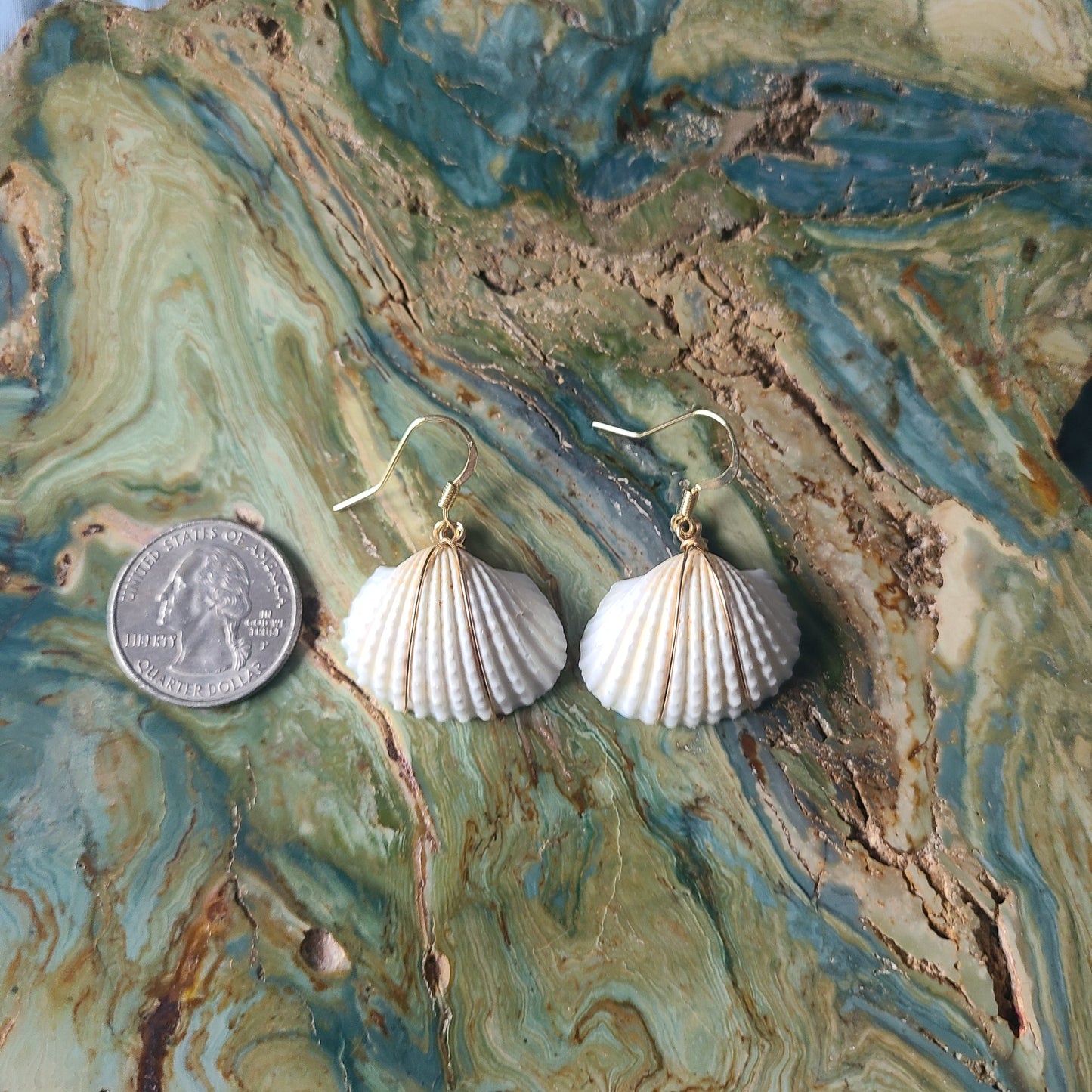 White Earred Arc Gold Filled Shell Earrings (14kgf)