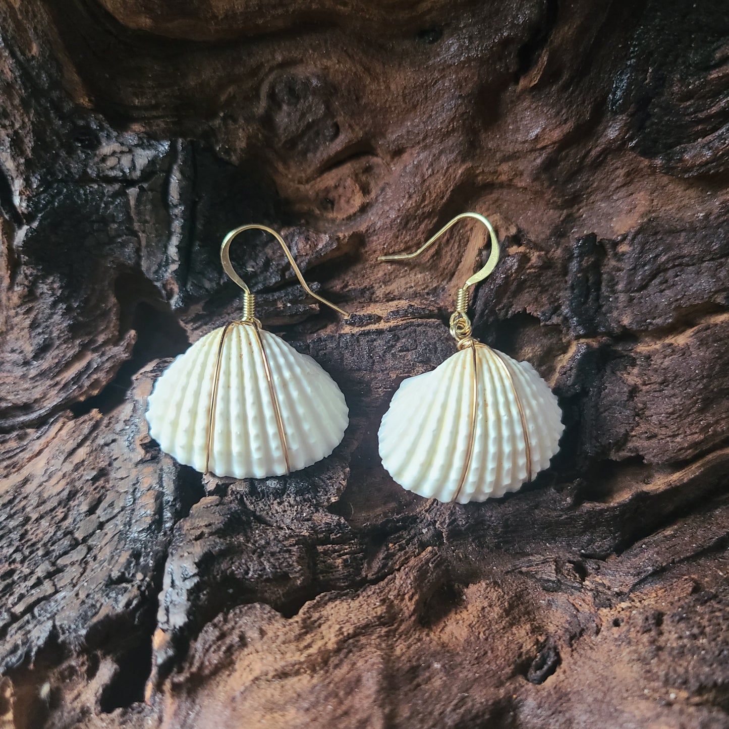 White Earred Arc Gold Filled Shell Earrings (14kgf)