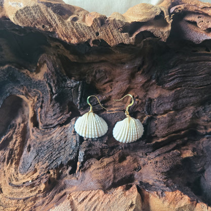 White Earred Arc Gold Filled Shell Earrings (14kgf)