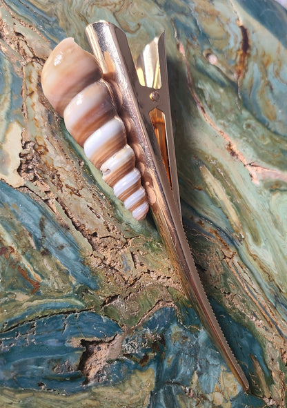 Large Screw Shell Hair Clip