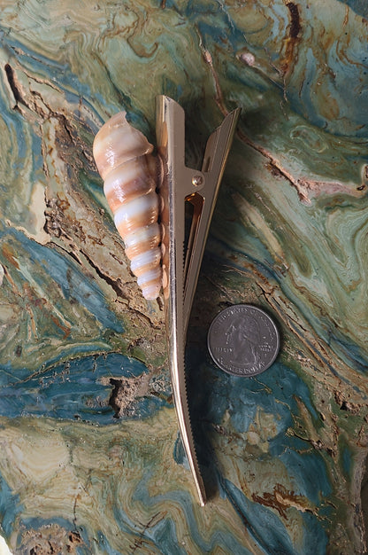 Large Screw Shell Hair Clip