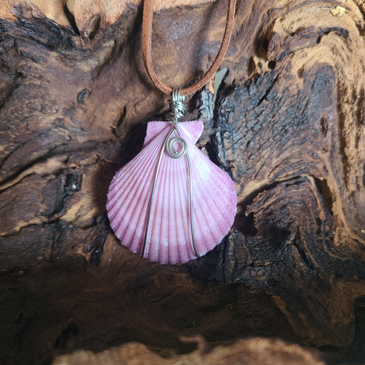 Amazing Purple Flat Scallop Shell Necklace