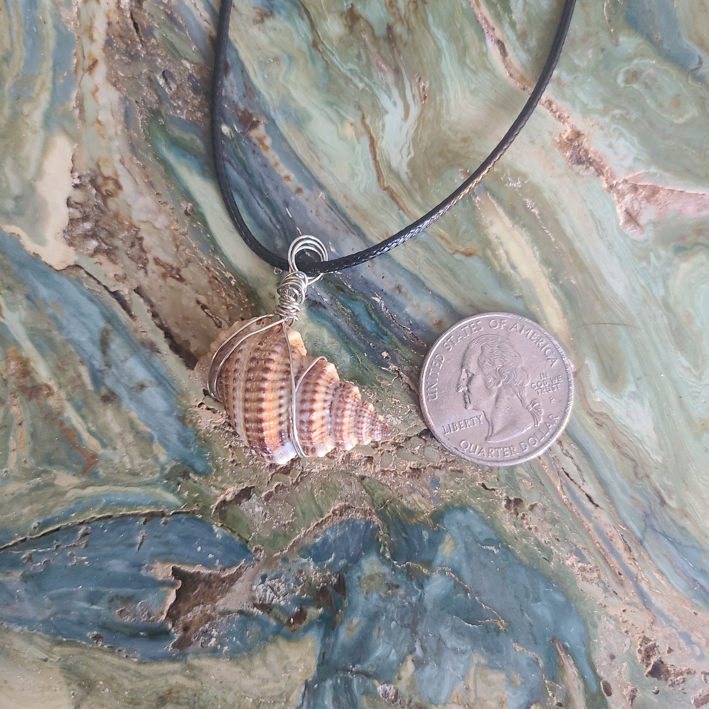 Simple Florida Rock Snail Shell Necklace