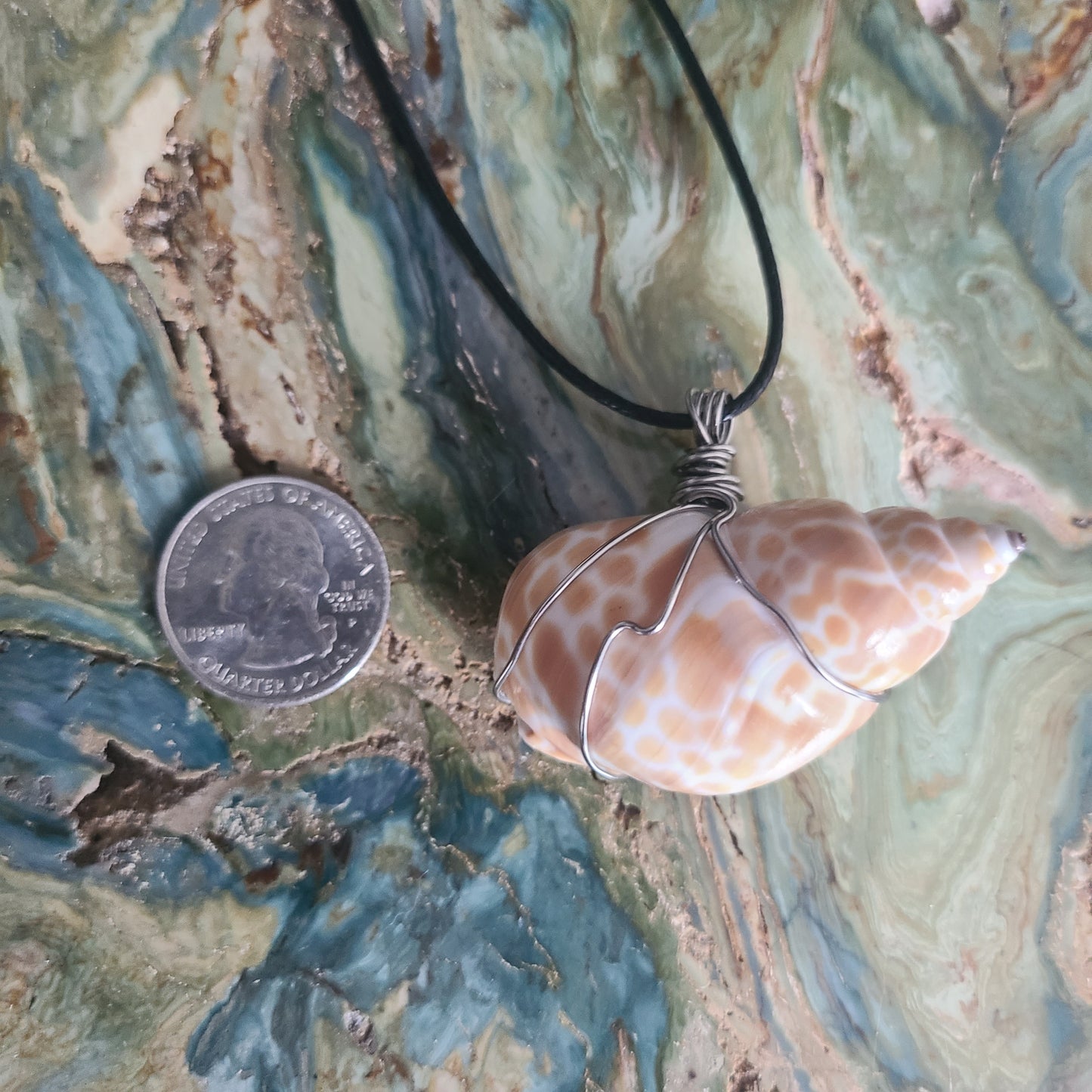 Giraffe Babylonia Shell Necklace