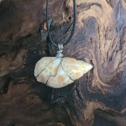 Giraffe Babylonia Shell Necklace