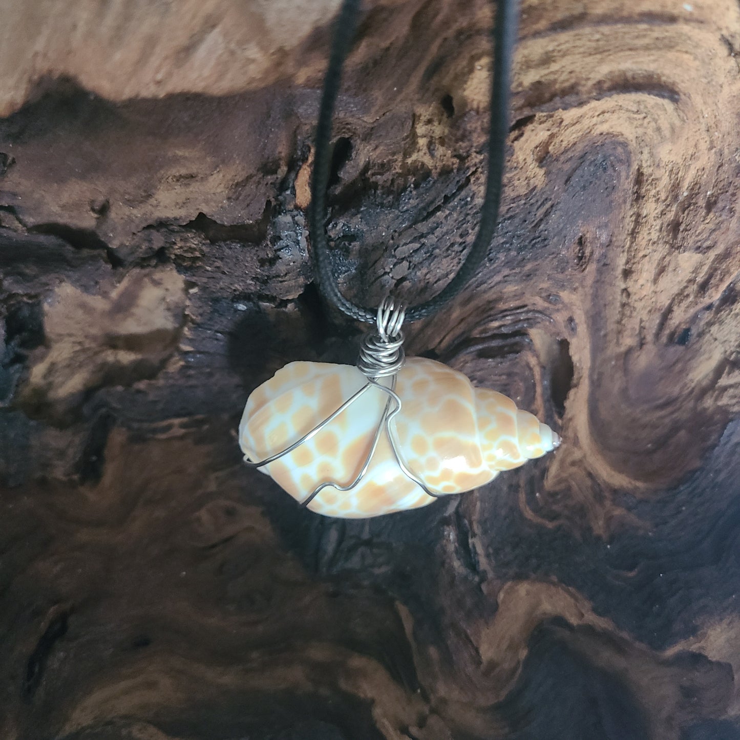 Giraffe Babylonia Shell Necklace