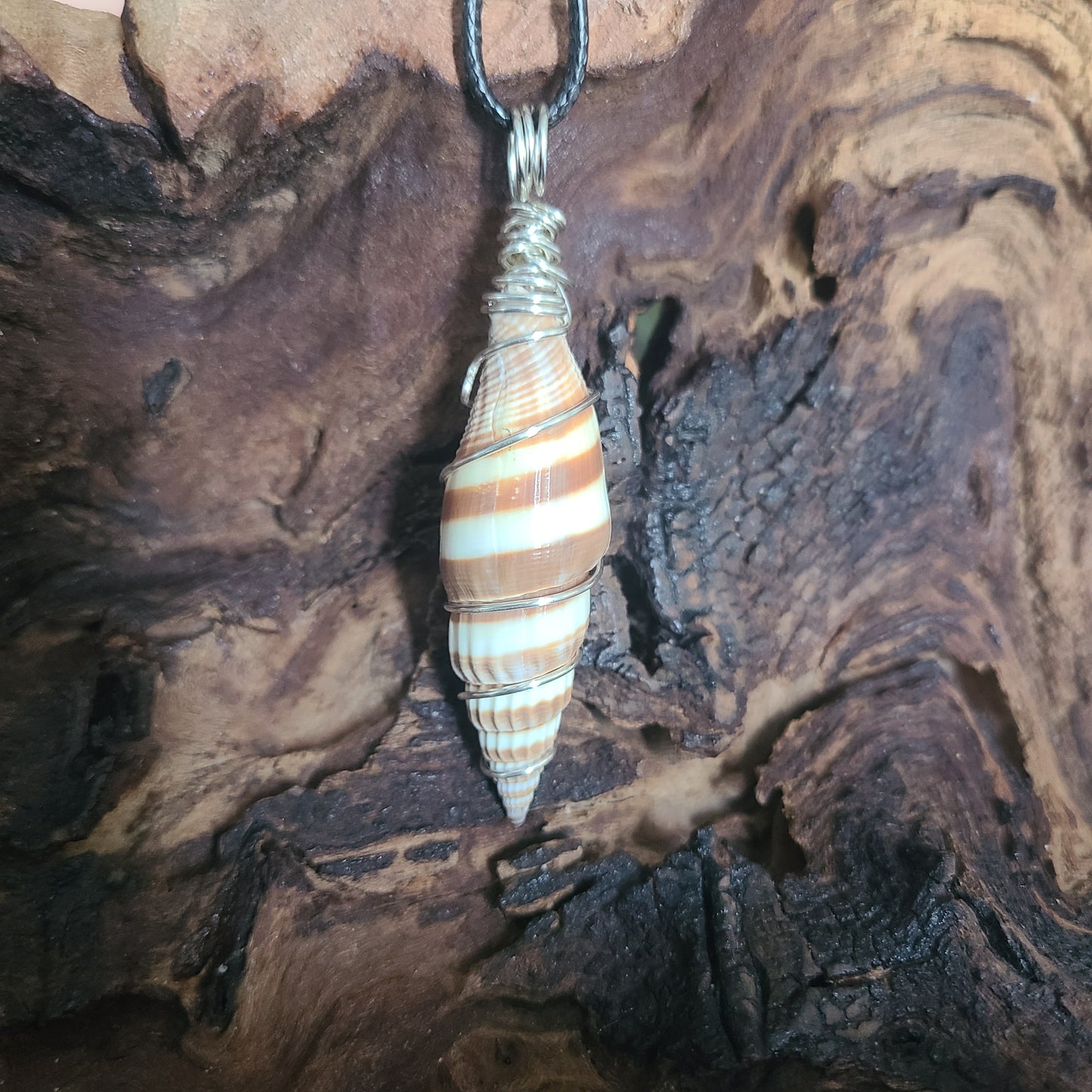 Wrapped Miter Sea Shell Necklace