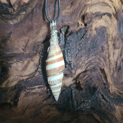 Wrapped Miter Sea Shell Necklace