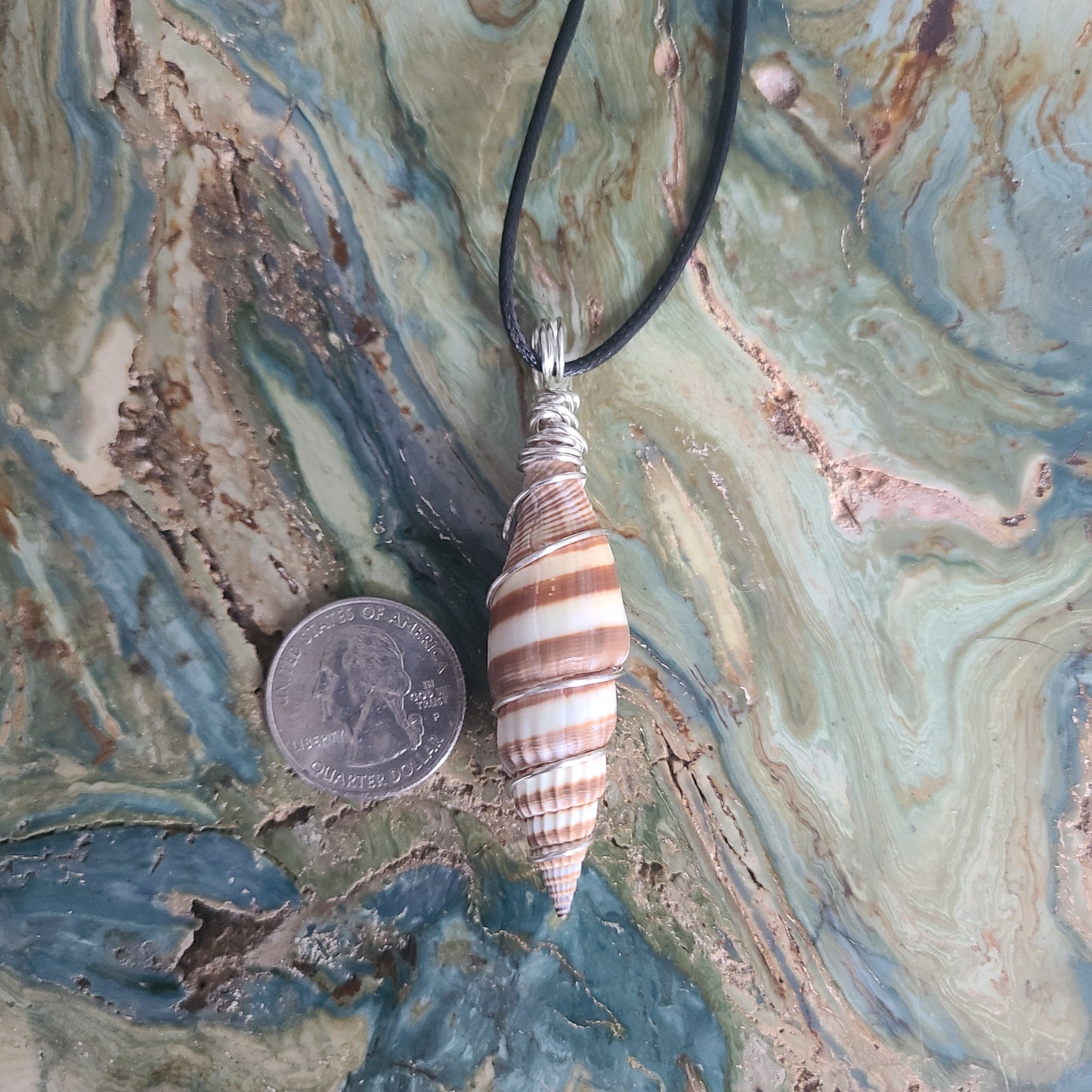 Wrapped Miter Sea Shell Necklace