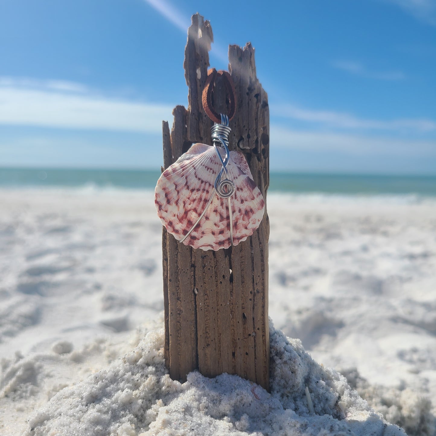 Stunning Scallop Shell Necklace